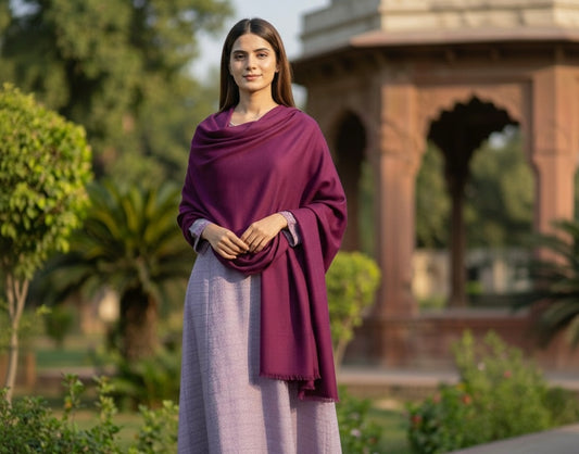 Plum souffle marina frock with dark purple pashmina shawl - front view